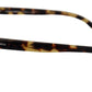 Chic Havana Wayfarer Sunglasses