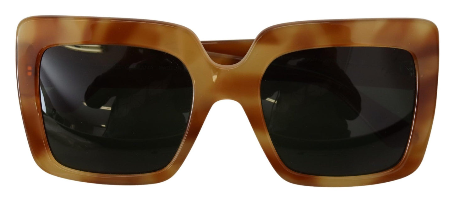 Elegant Havana Camel Sunglasses for Women