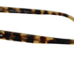 Elegant Wayfarer Havana Sunglasses