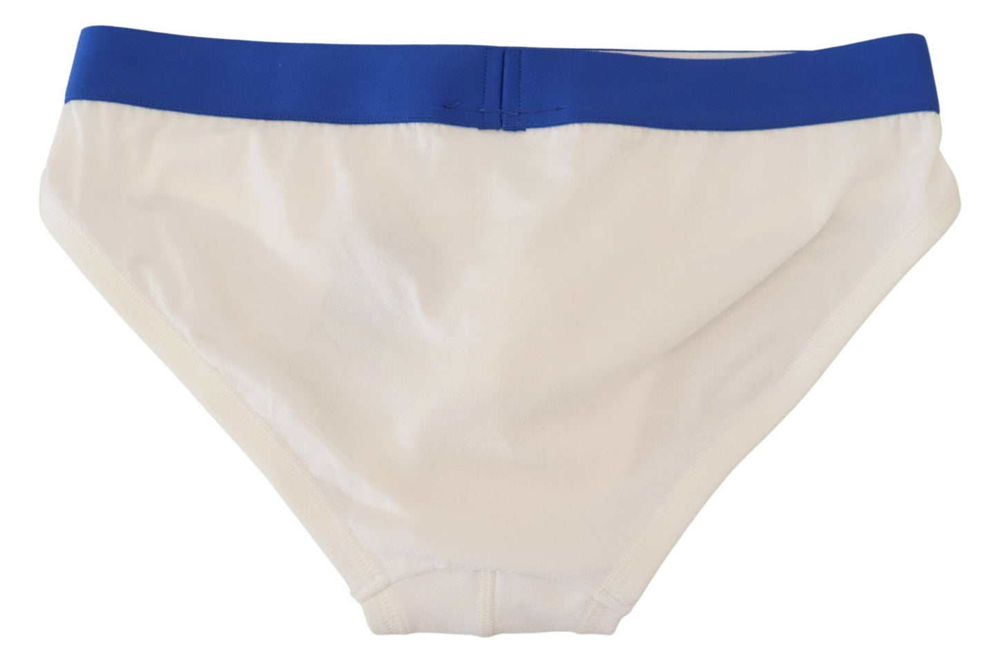 Classic Blue and White Stretch Briefs