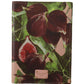 Multicolor Leather Passport Holder