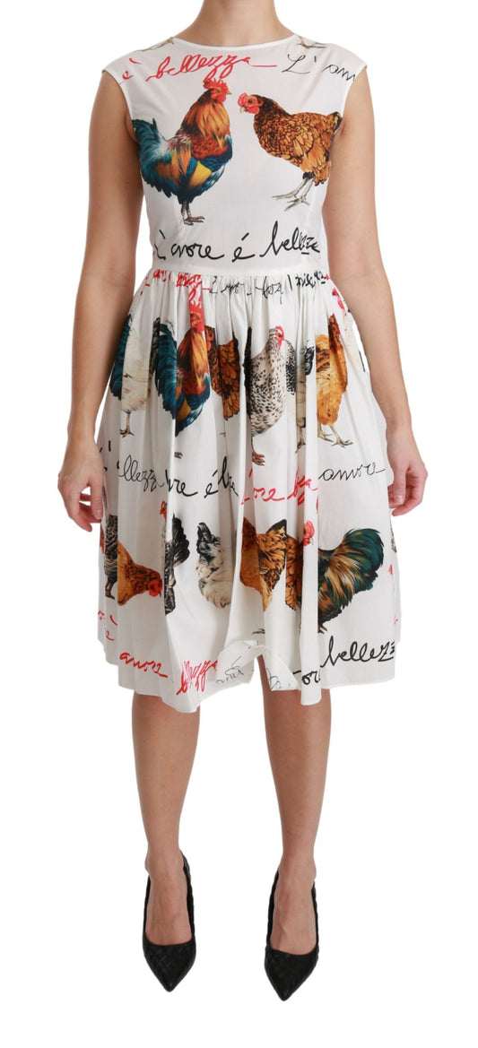 White A-Line Mini Dress with Rooster Print