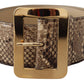 Brown Exotic Wide Waist Leather Gold Metal Buckle Belt