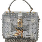 Silver Elegance Plexiglass Clutch