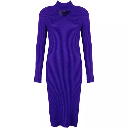 Lavish Ribbed Longline Dress with High Neck