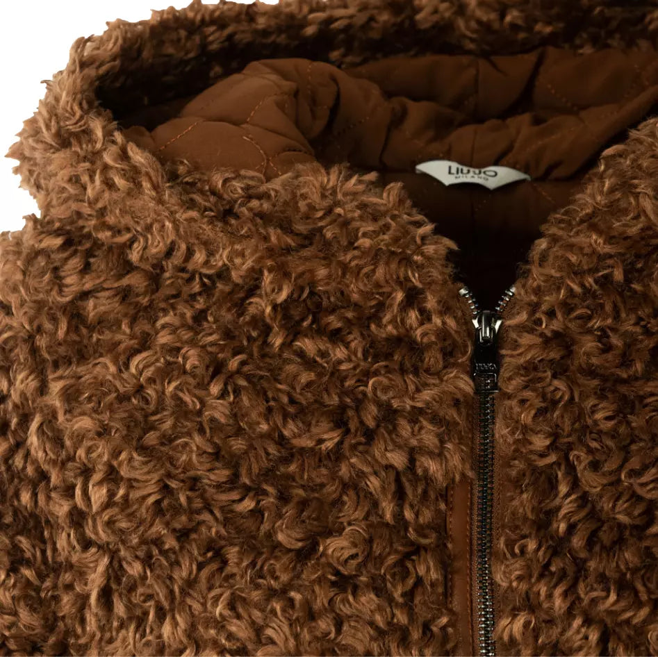 Plush Eco-Fur Coat with Hood in Brown