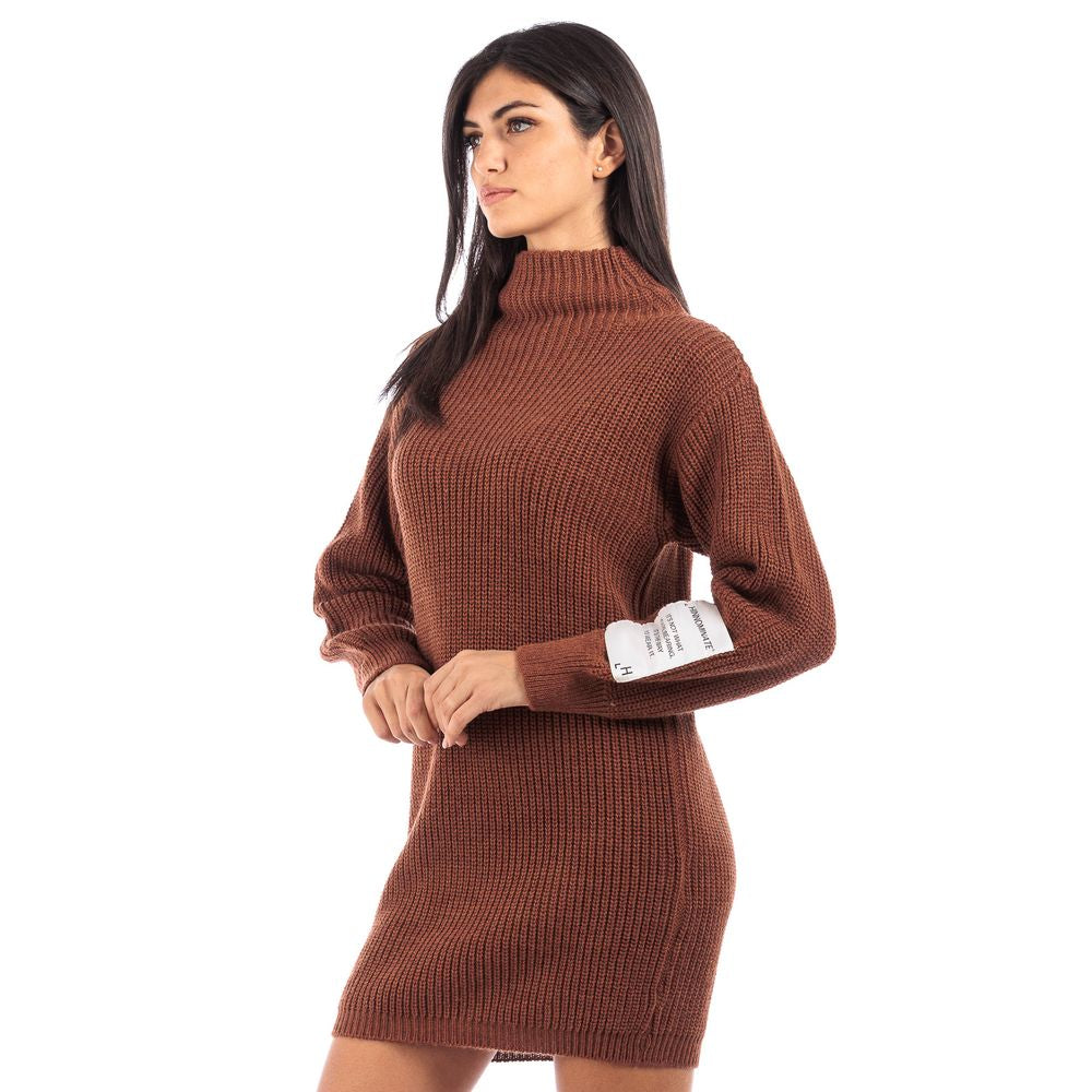 Chic Pearlized Knit Turtleneck Dress