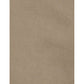 Summertime Sophistication Beige Cotton Shorts