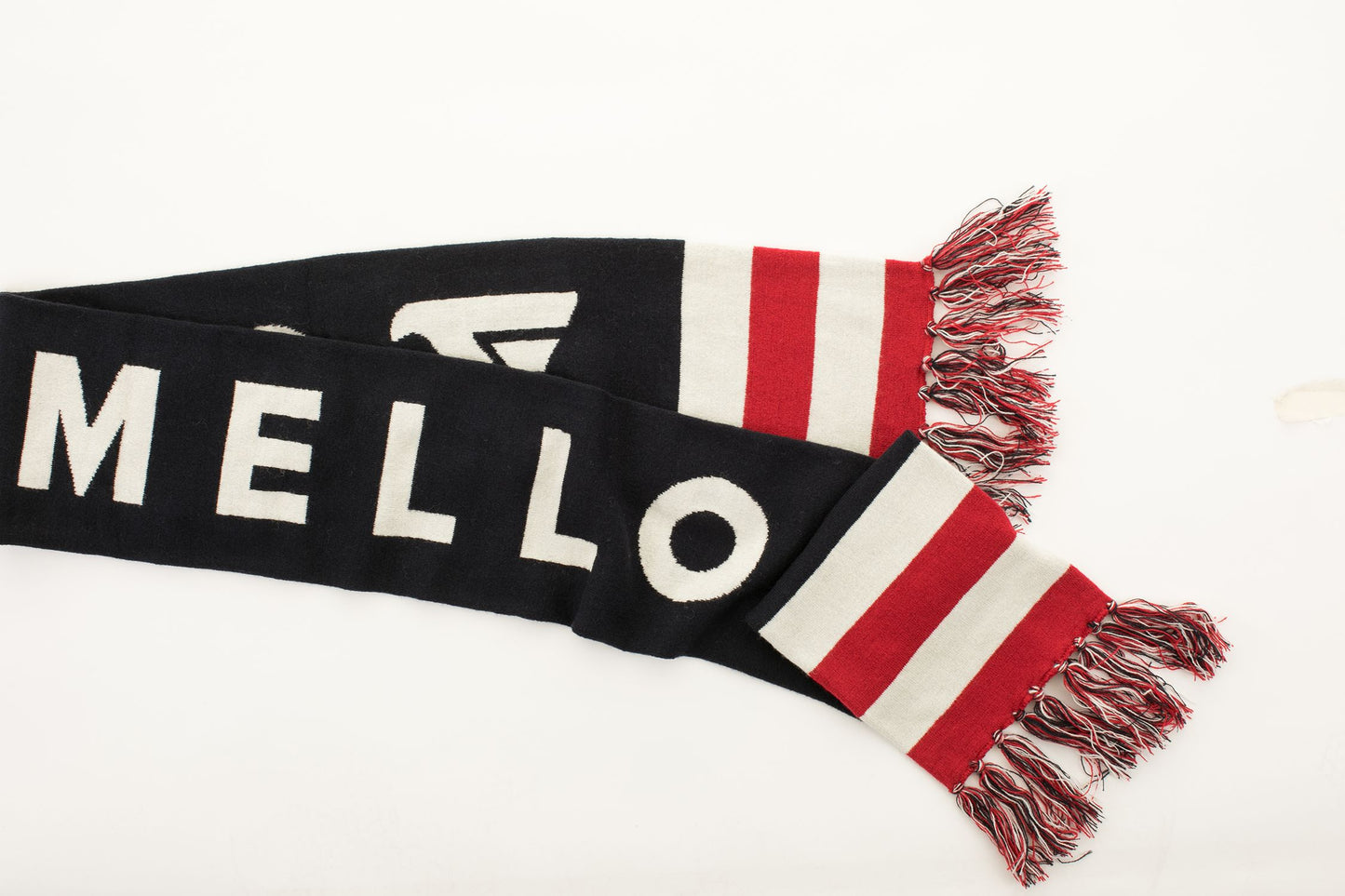 Multicolor Fringe Logo Scarf in Wool Blend