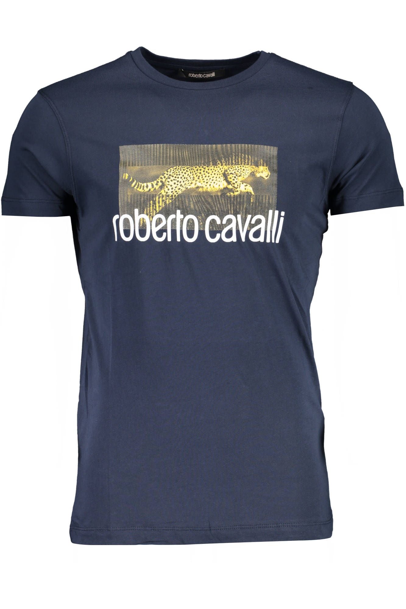 Chic Blue Printed Crew Neck Tee