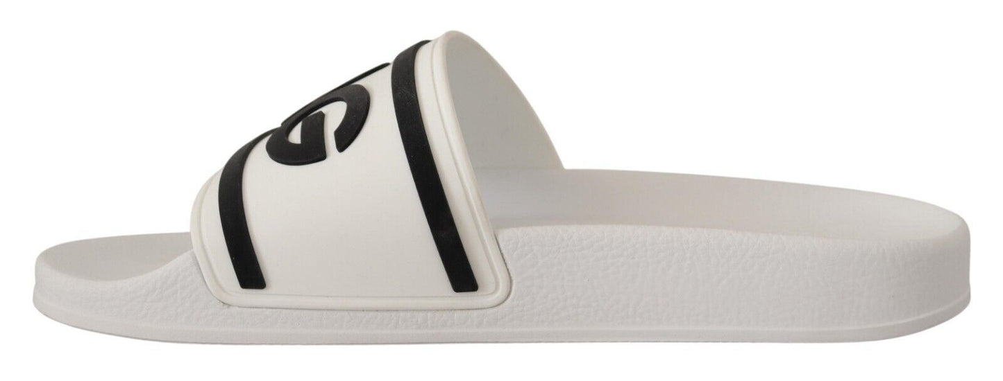 Elegant White Slides with Bold Black Logo