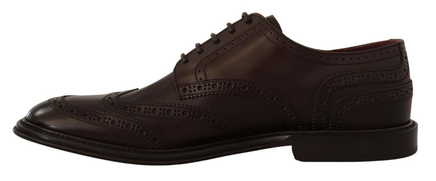 Elegant Calfskin Derby Oxford Wingtips