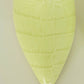 Elegant Lime Croco Leather High Stiletto Boots