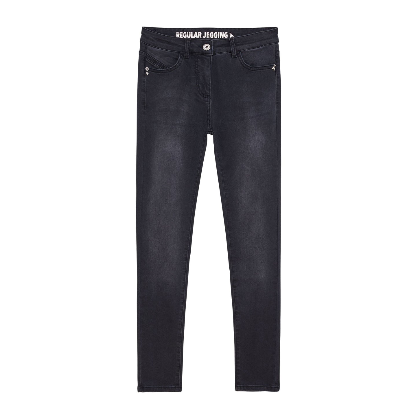 Sleek Cotton Blend Regular Jegging - Black