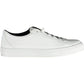 Sporty Chic Lace-Up Sneakers in Crisp White