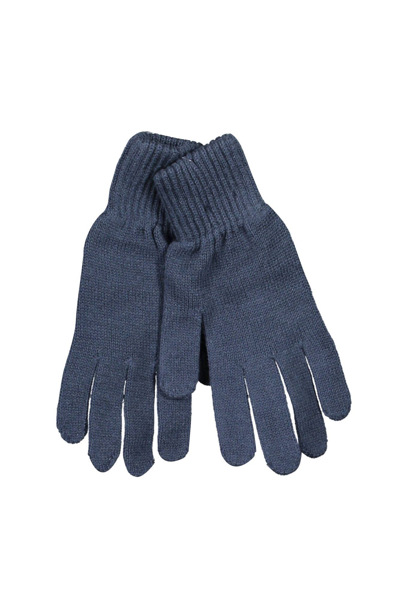 Elegant Embroidered Blue Gloves